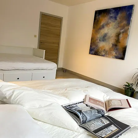 Art House - Maison D'art * Mons